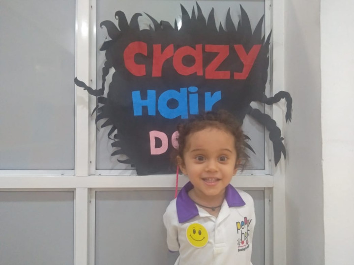 Crazy Hair Day